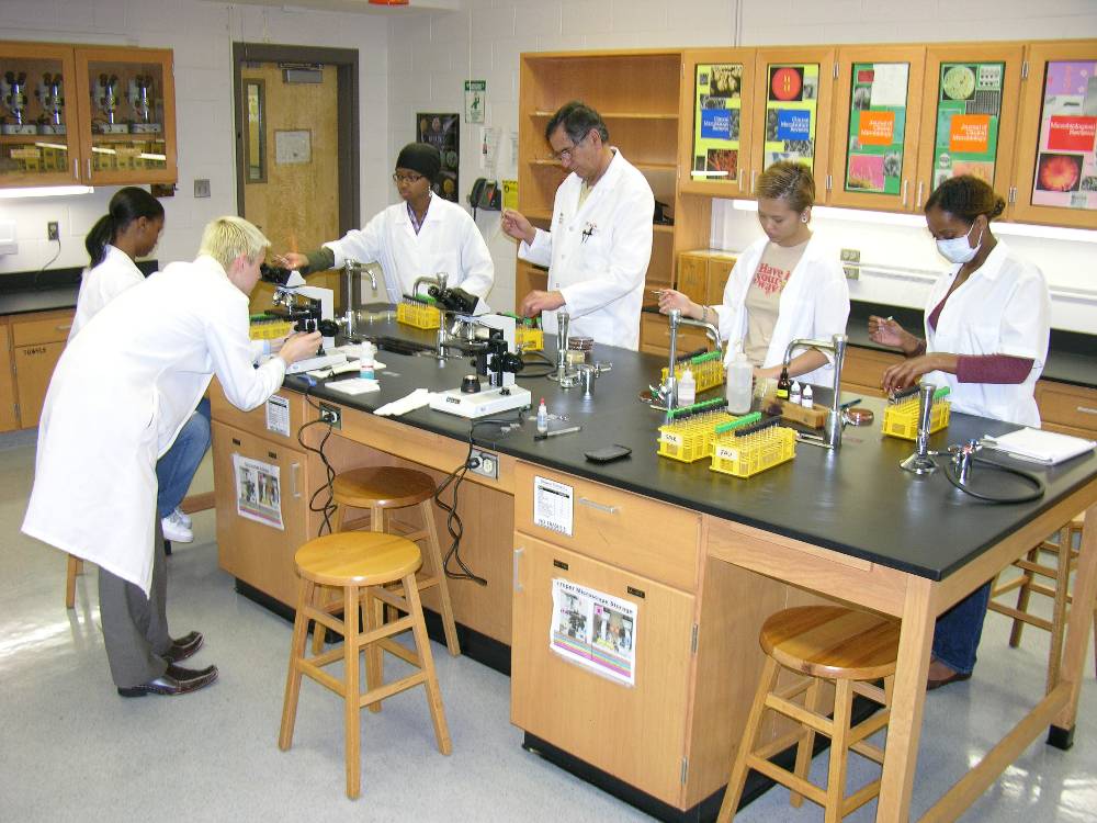 A group of six people running experiments around a lab table